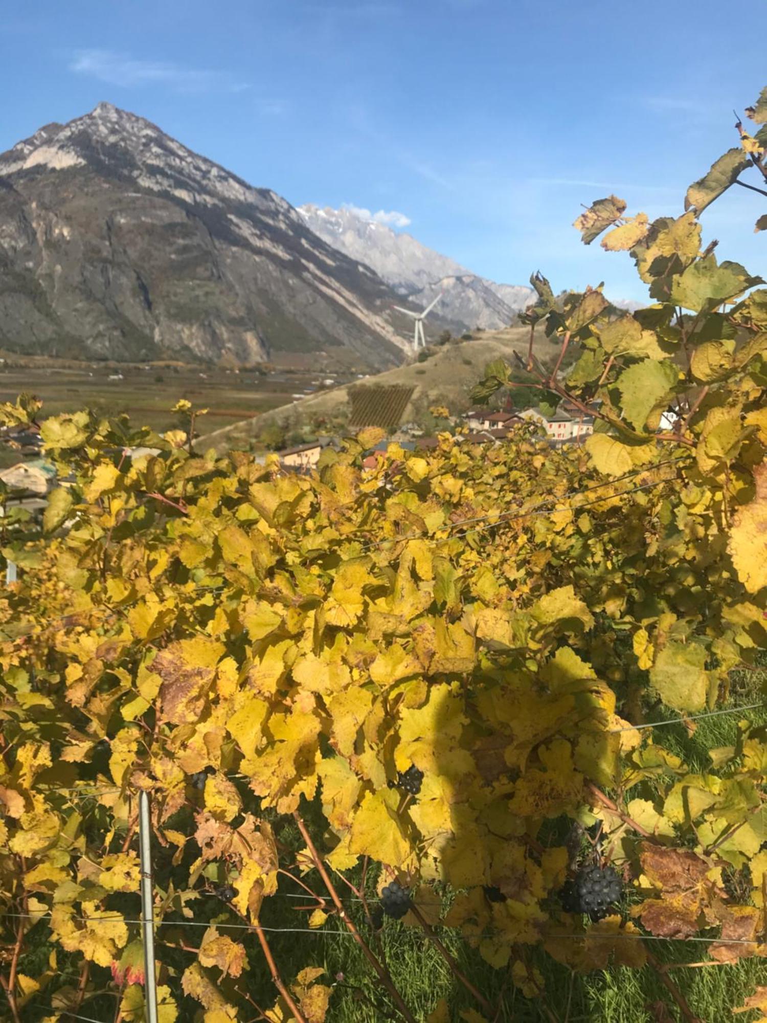 Studio Martigny Taou Kültér fotó